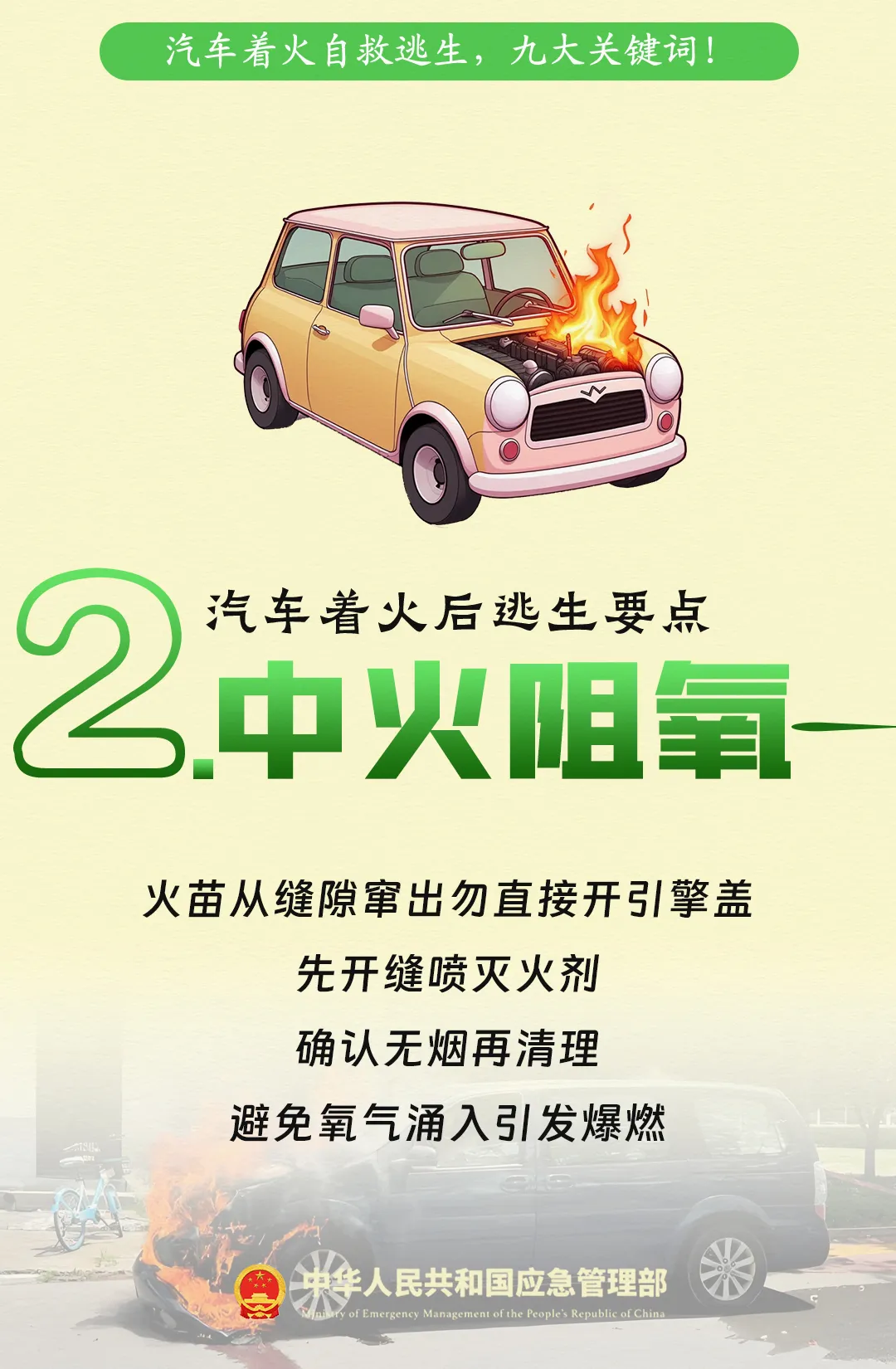 6985d258a2323cb5df13.webp