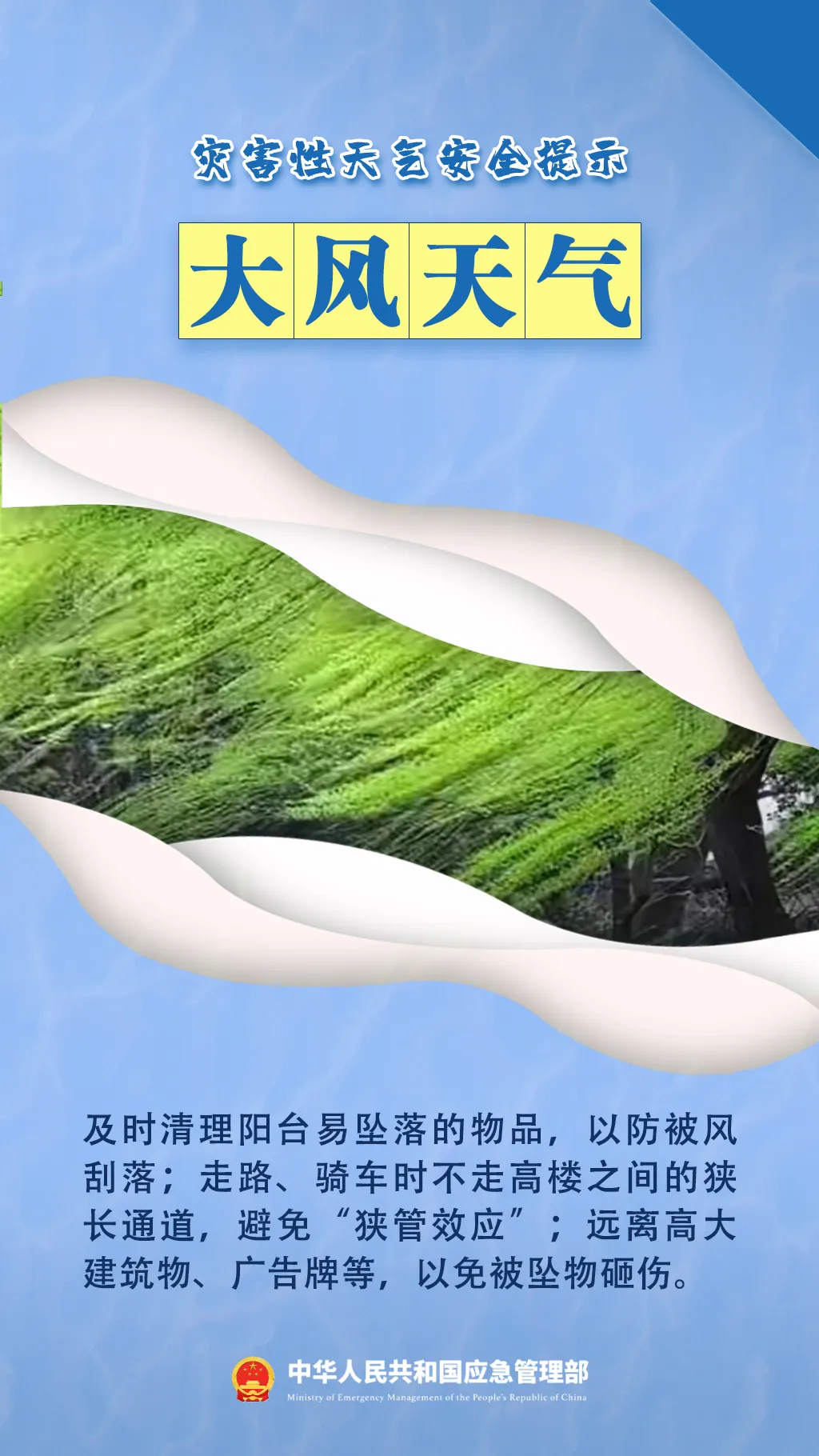 b5e1fa8be9e3018fe20f.webp