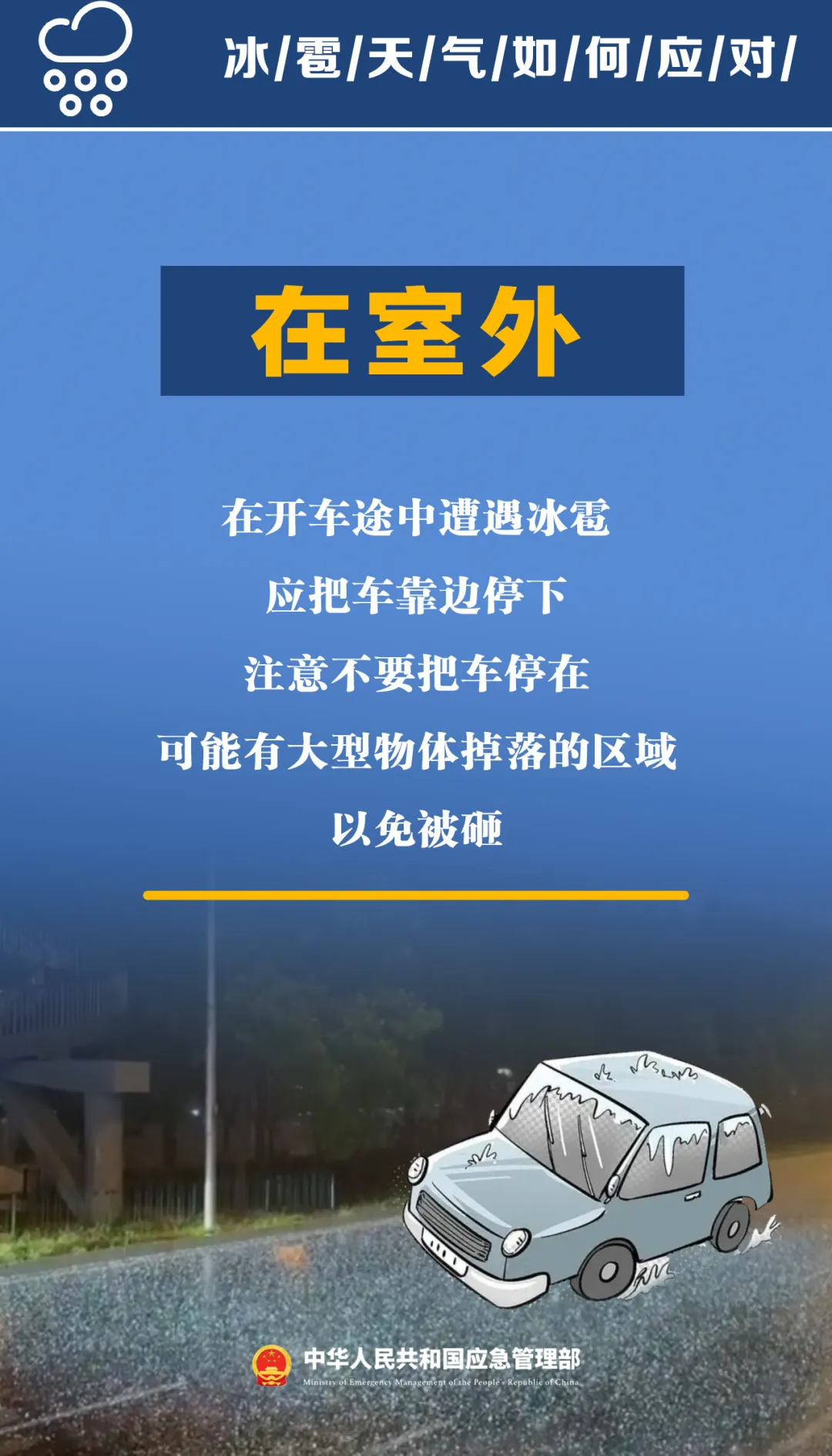 be770e029357d8c49f0a.webp