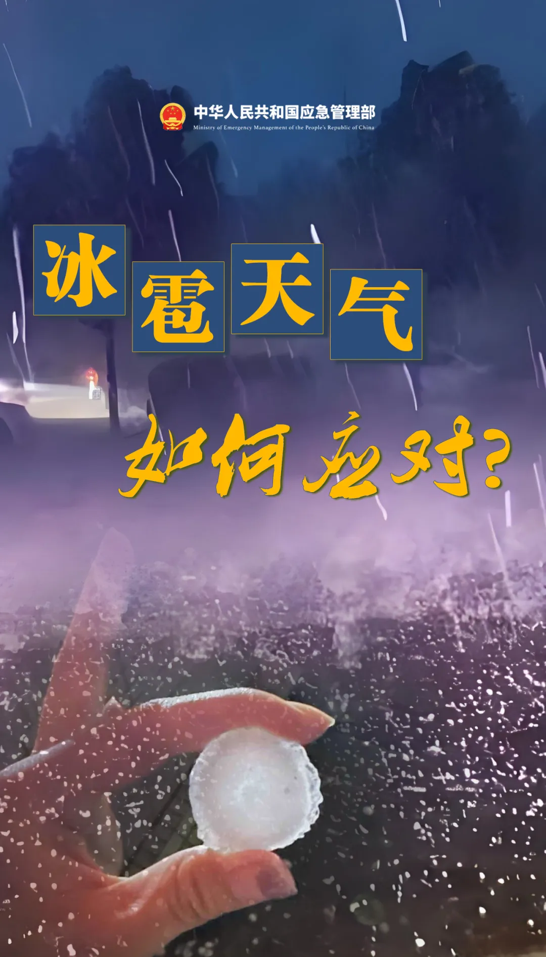 100750eaad2fd49e305b.webp