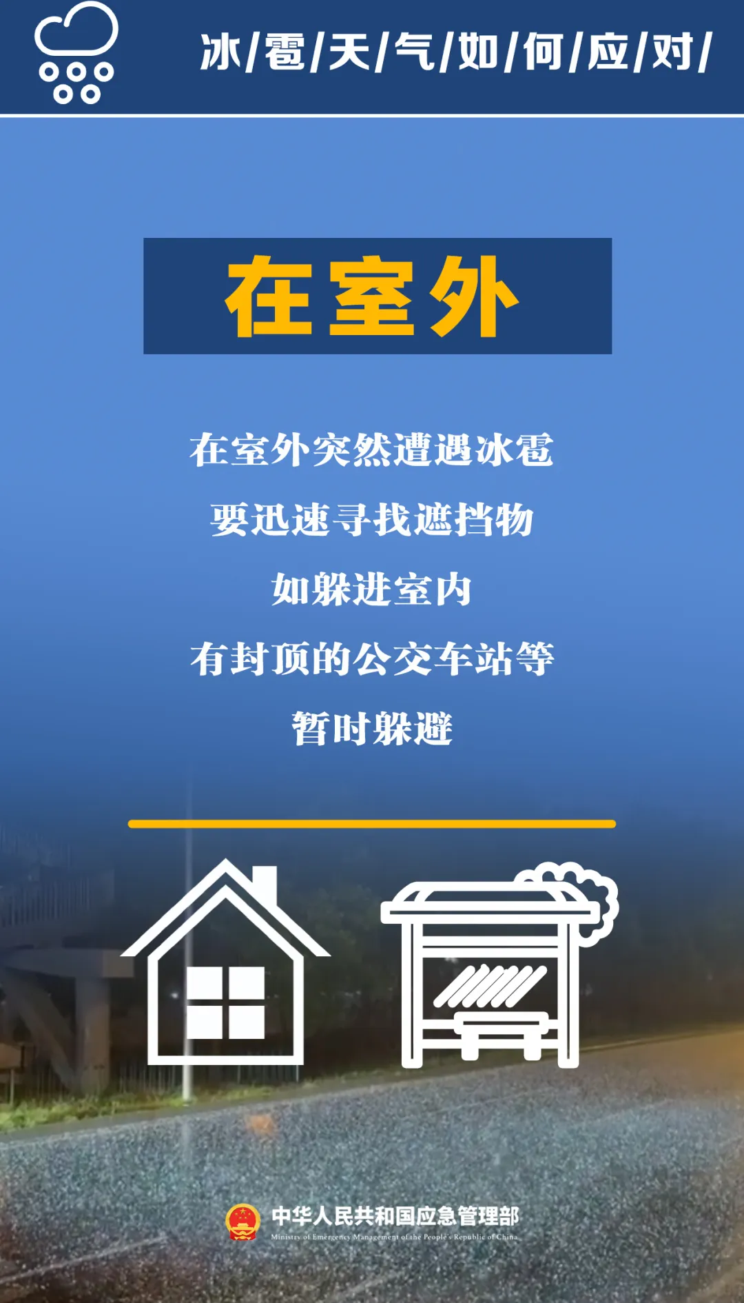 c14bd6275438ffe89513.webp