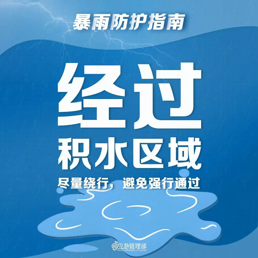 8d0555a6599332801929.webp