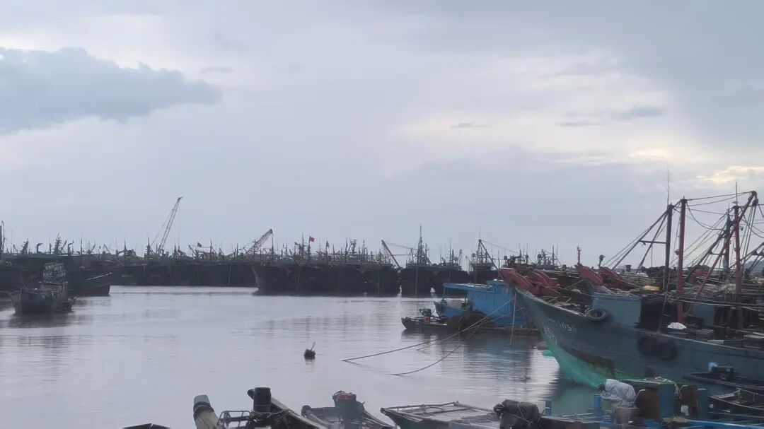 云澳渔港2.jpg